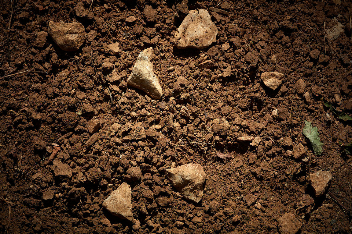 Soil : clay & silt composition 