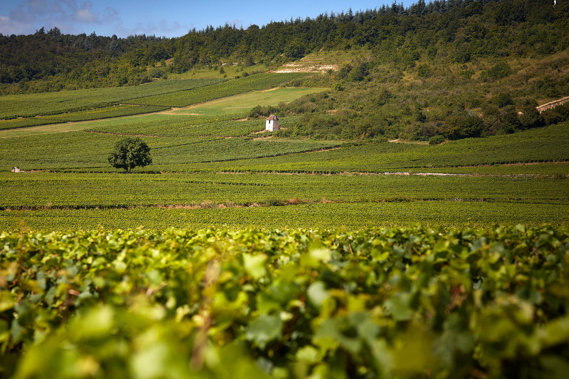 Vue sur Chanevarie - Givry village