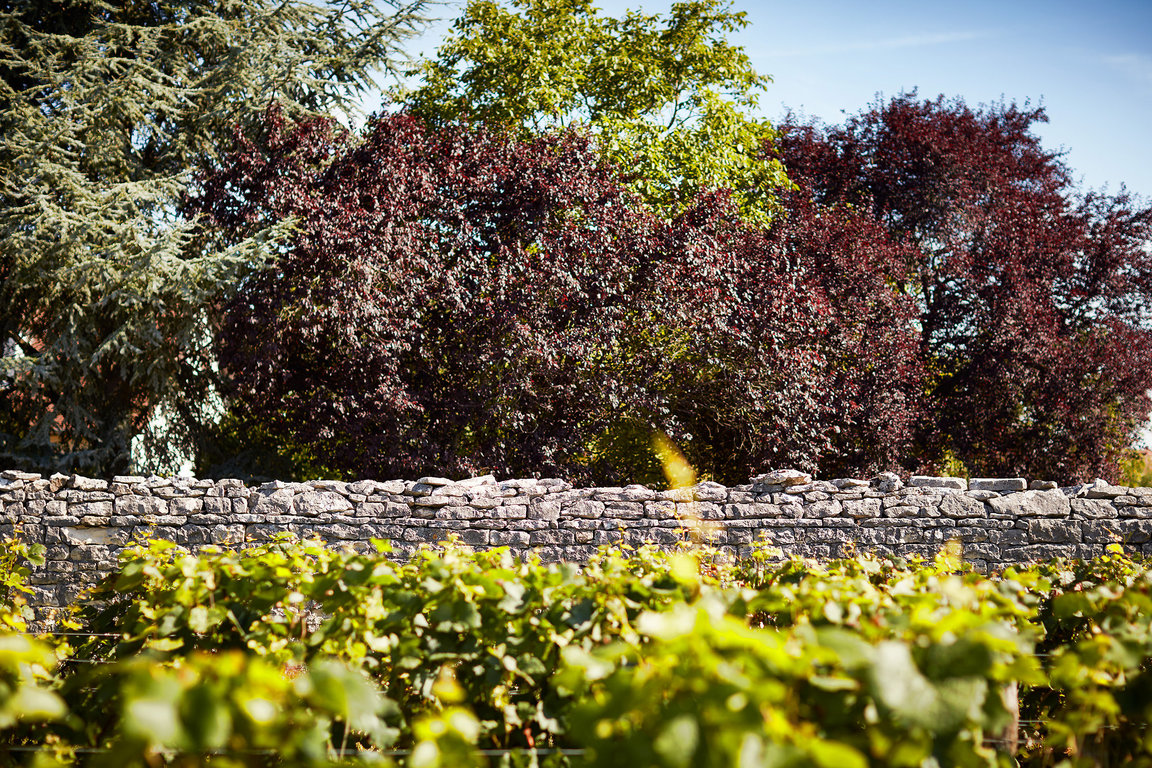 Clos de Mortières BIS