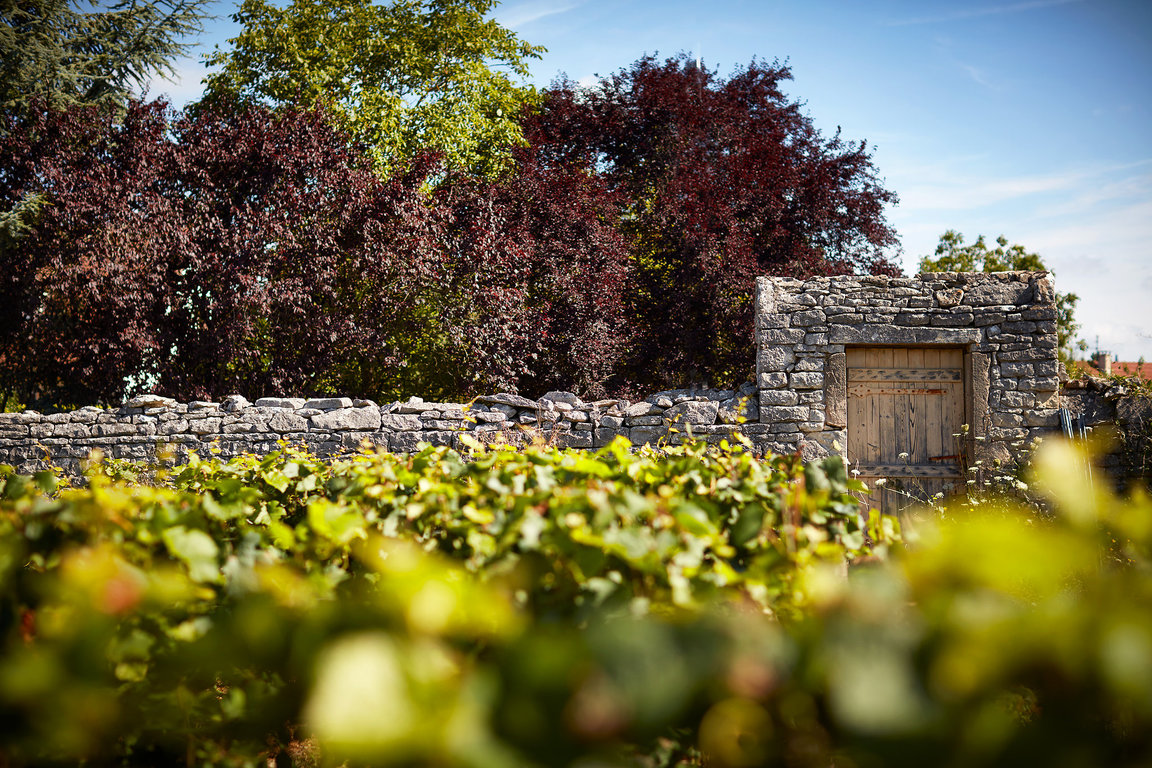 Clos de Mortières